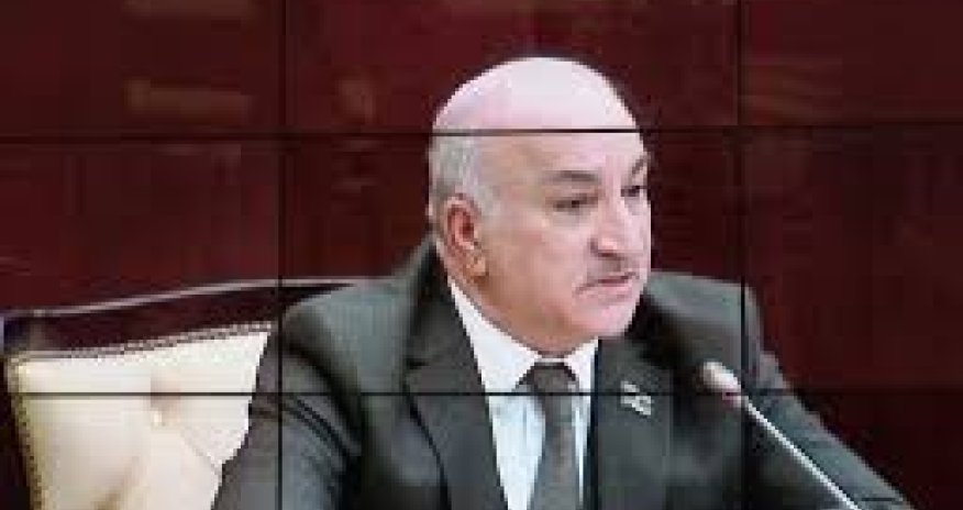 Millət vəkili  qida təhlükəsizliyi ilə bağlı laboratoriyaları tənqid edib - VİDEO