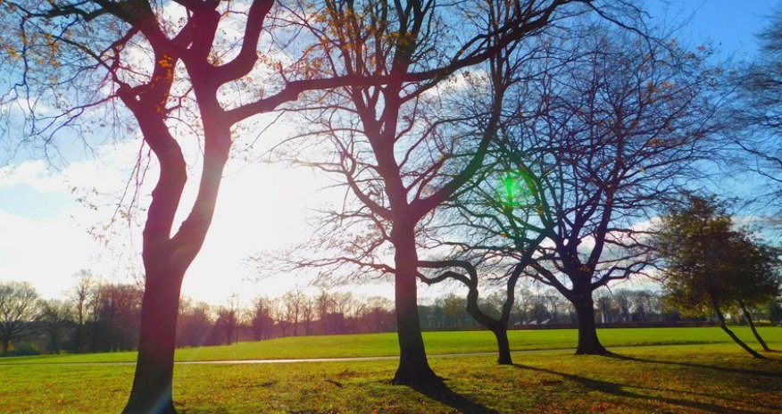 Weather forecast for February 2