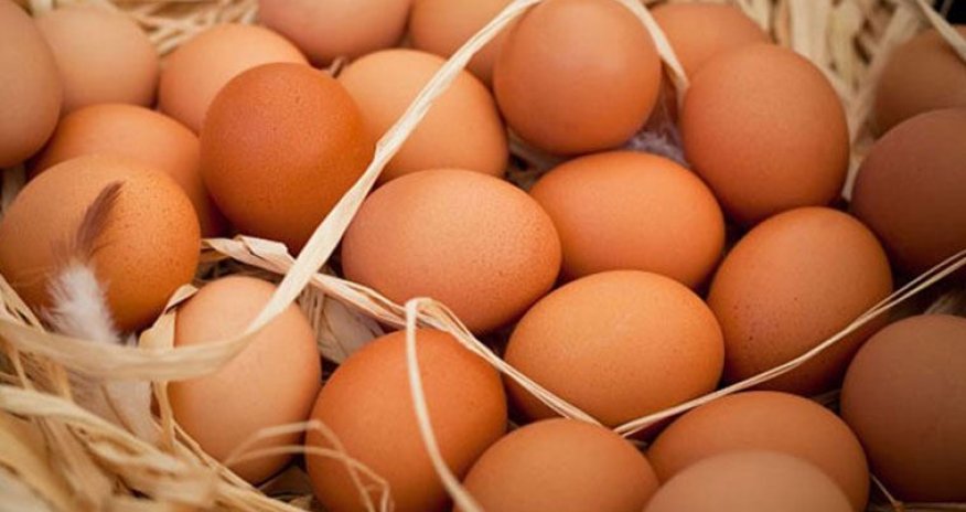 Rusiyaya 13 milyondan çox yumurta idxal edilib