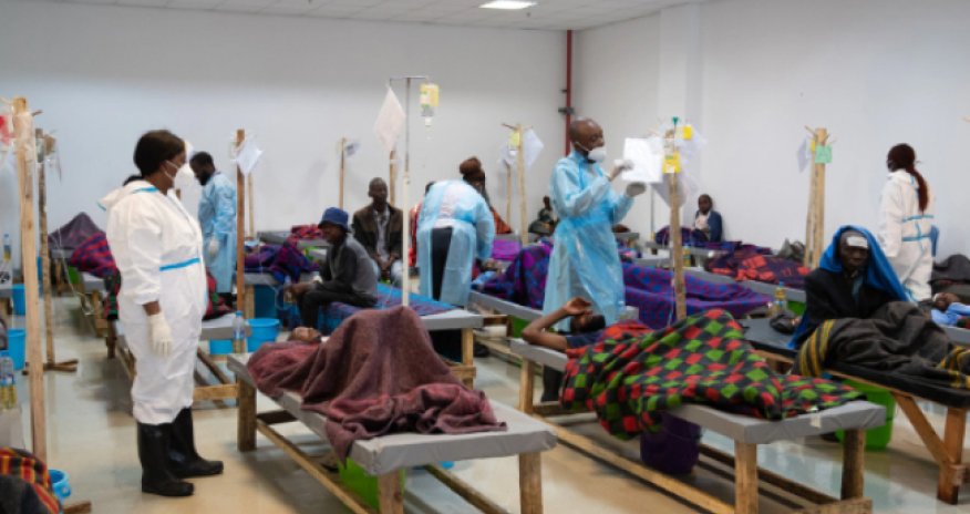 Yanvarda Afrikada vəbadan ölənlərin sayı 2 dəfə artıb