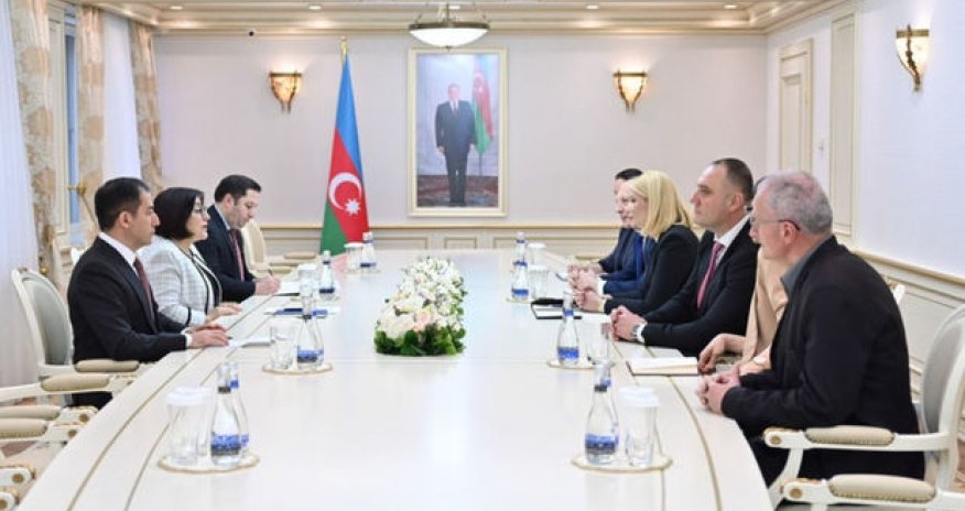 Sahibə Qafarova İtaliya və Serbiyadan olan müşahidə missiyalarının üzvləri ilə görüşüb