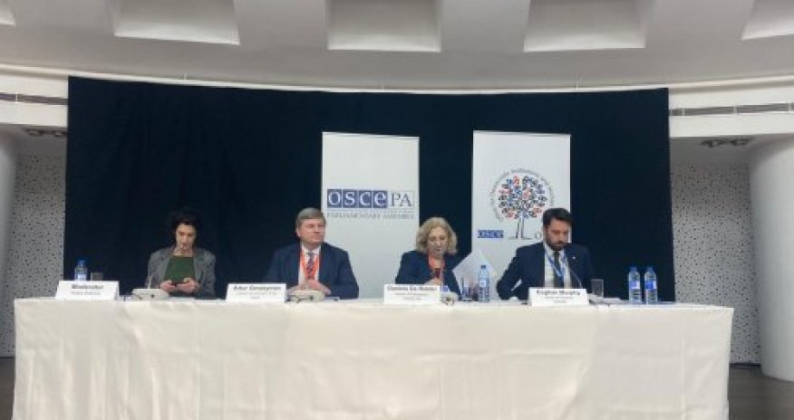 ATƏT PA və ATƏT DTİHB müşahidəçiləri  son seçkilər zamanı pozuntuların olduğunu bildirib