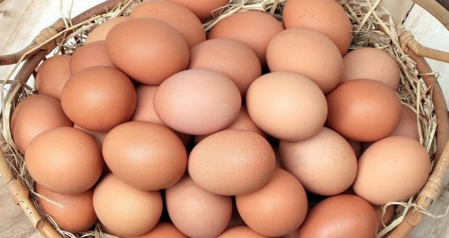 Russia imports about 20 million eggs to from Azerbaijan, Türkiye