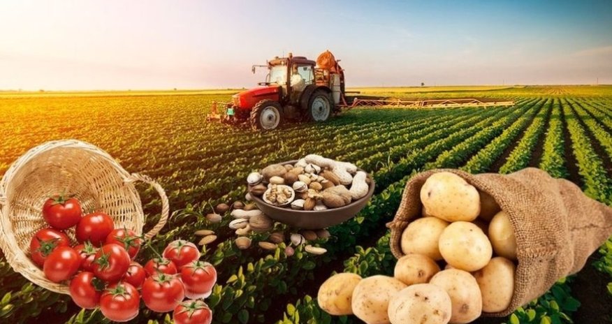 Kənd məhsullarının dəyəri 1,2% artıb - Rəsmi 