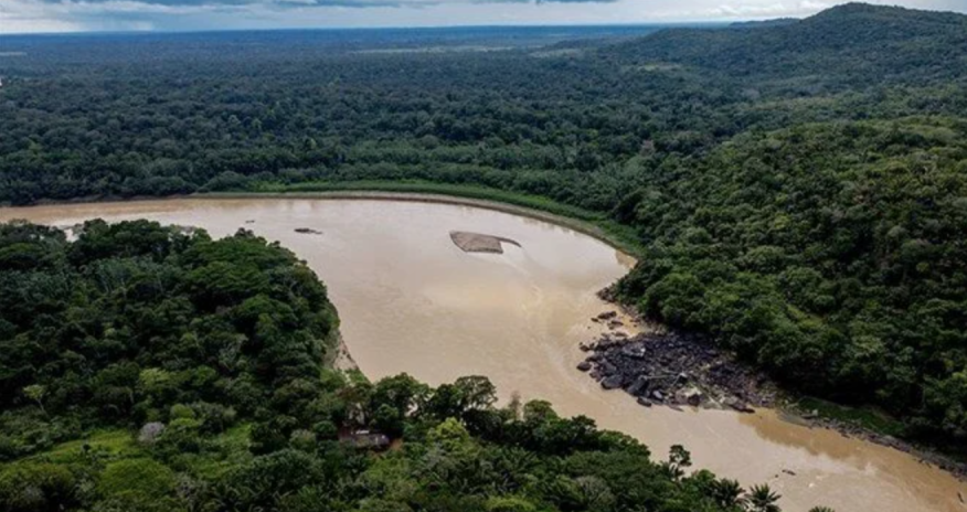 2050-ci ilə qədər Amazon meşələrinin yarısının yox olacağı proqnozlaşdırılır