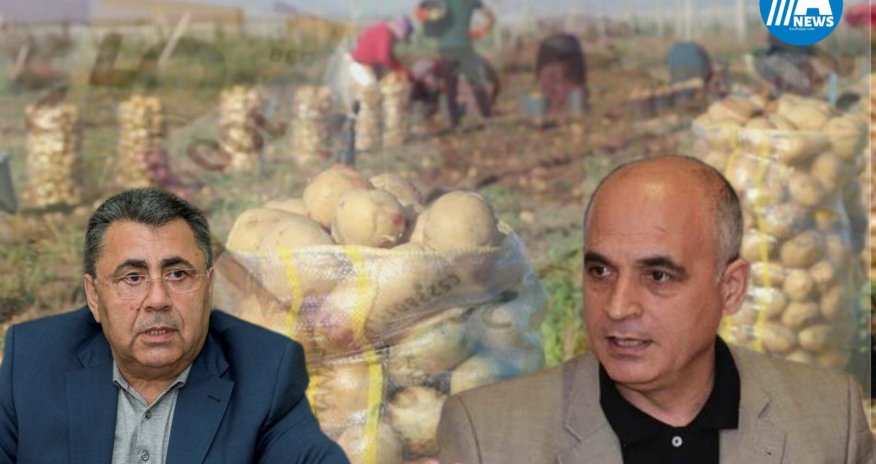 Azərbaycanı kartof böhranı gözləyir - Fermerdən şikayət