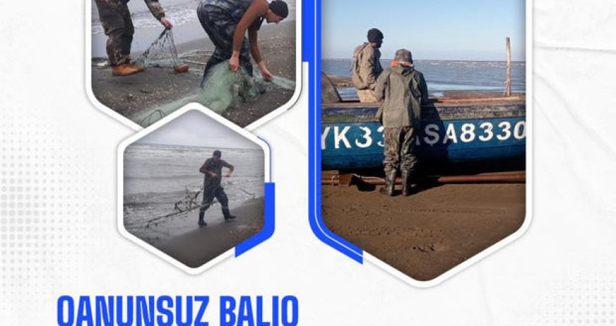 Qanunsuz balıq ovlayanlar saxlanılıb