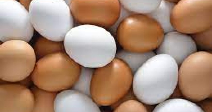 Azərbaycan və Türkiyə Rusiyaya 28,5 milyon ədəd yumurta ixrac edib - Rosselxoznadzor