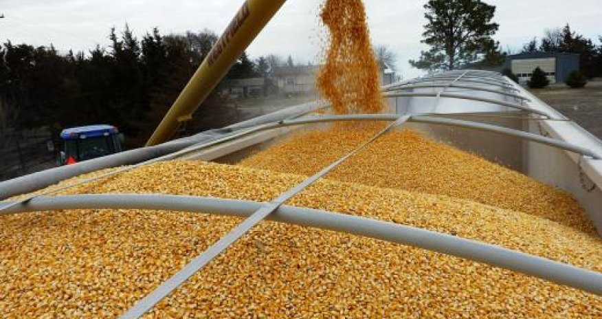 Buğda saxlama məntəqələri üçün 6,3 mln manat ayrılıb