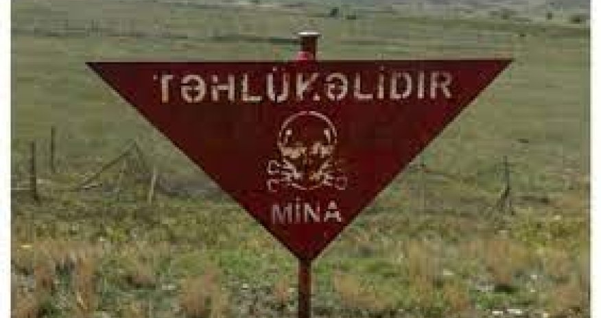 Mayın sonunda minalarla bağlı beynəlxalq konfrans keçiriləcək