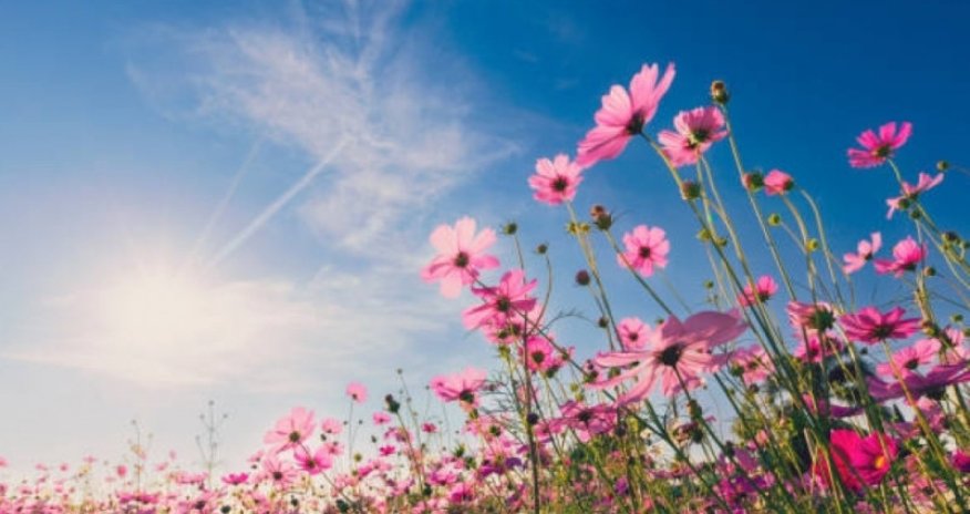 Sabah rayonlarda 25 dərəcə isti olacaq