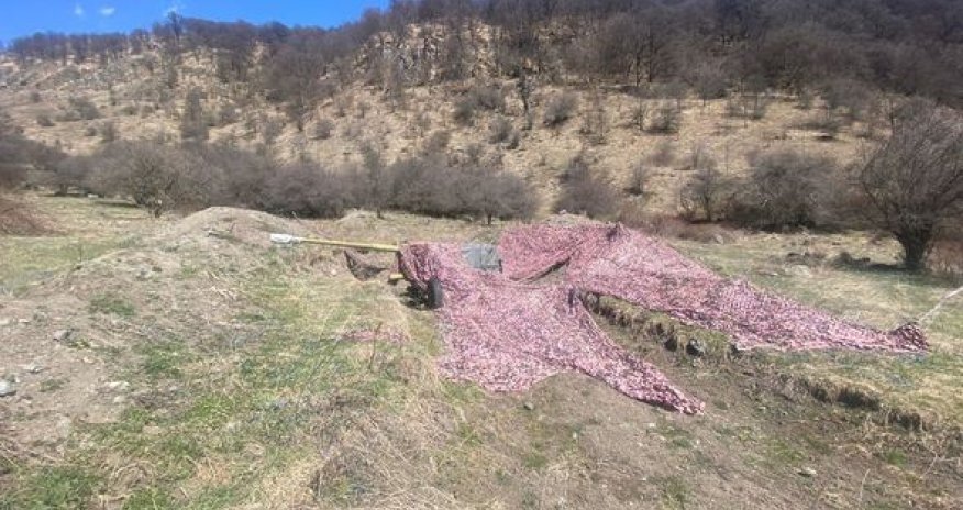 Kəlbəcərdə artilleriya qurğuları aşkarlanıb