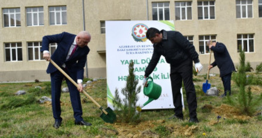 Yasamal rayonunda növbəti ağacəkmə aksiyası keçirilib
