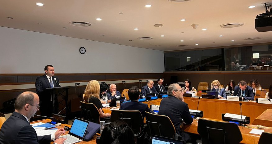 BMT-də Azərbaycanın təşəbbüsü ilə brifinq keçirilib