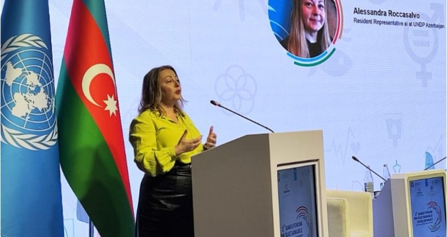 UN official calls on Armenia to hand over mine maps to Azerbaijan