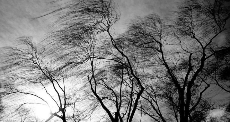 Ölkə ərazisində güclü külək əsir - Faktiki hava