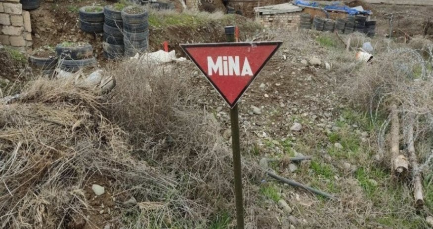 Qarabağda mina problemi dünyanın problemidir - Bahar Muradova