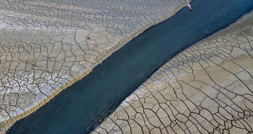 Турция представит 