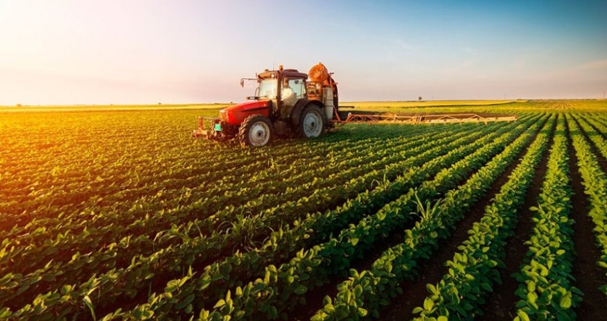 Ötən il İtalyadan Azərbaycana ixrac edilən kənd təsərüfatı məhsullarının həcmi açıqlanıb