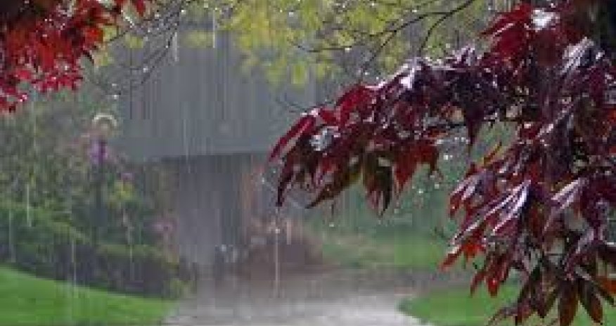 Rayonlara yağış yağır - FAKTİKİ HAVA