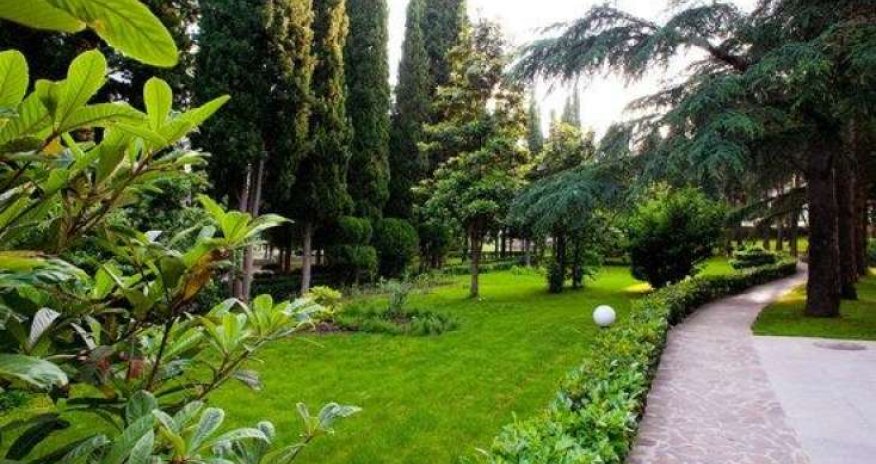 Azərbaycanda mühafizə olunan təbiət ocaqlarının sayı açıqlanıb