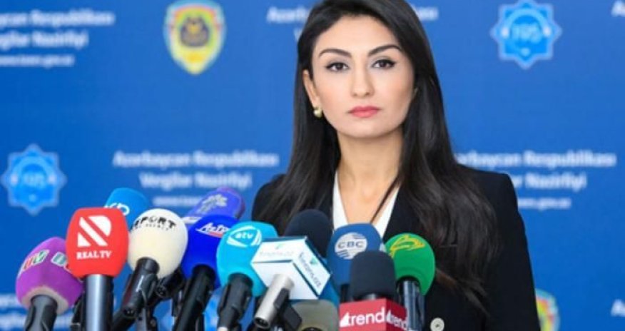 Azərbaycan xarici investorları üçün elektron qeydiyyat sistemi yaradır