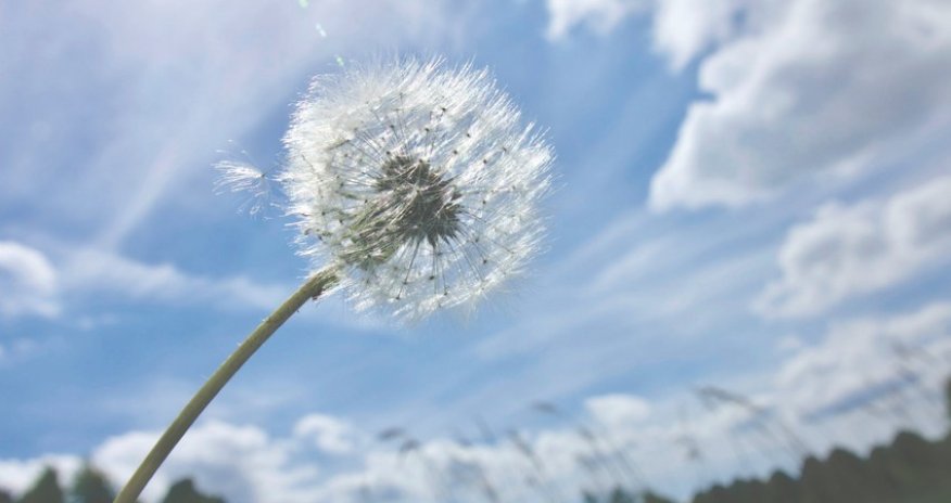 Azerbaijan weather forecast for May 24