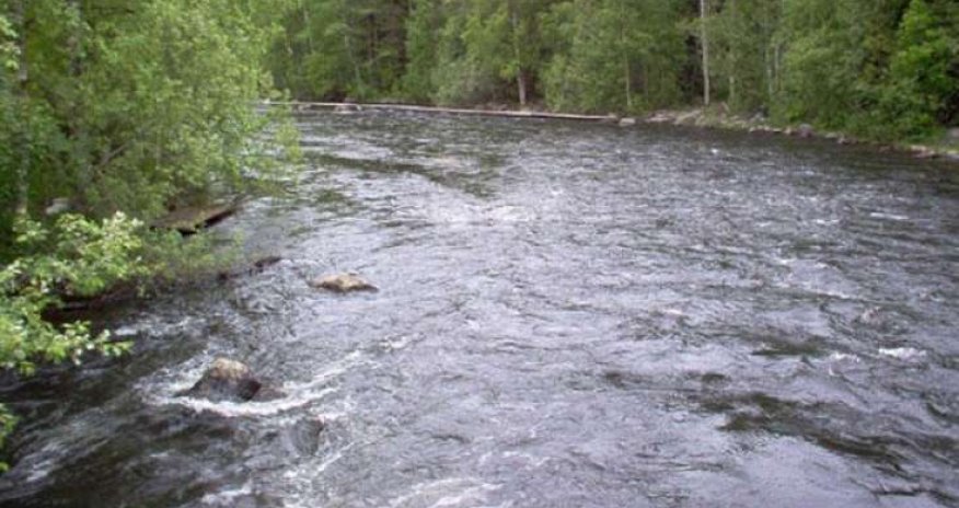 Минэкологии: Уровень воды в реках отслеживается