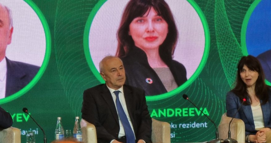 Azərbaycan enerji layihələrindən 1 milyard yarım dollar gəlir əldə edəcək -Samir Vəliyev 