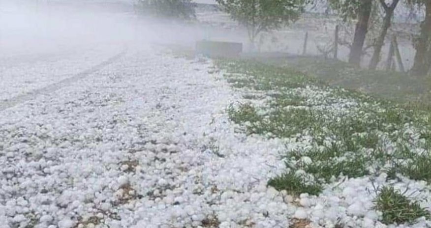 Göygölə dolu düşüb