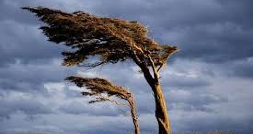 Ölkədə qeyri-sabit, küləkli hava müşahidə olunur - Faktiki HAVA