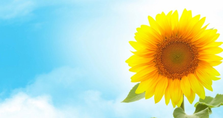 Azerbaijan weather forecast for June 7