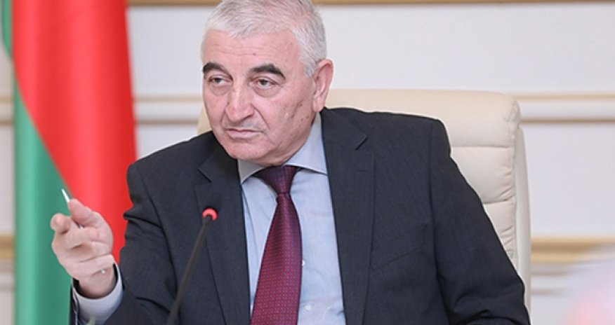 Məzahir Pənahov Macarıstanda seçkiləri müşahidə edəcək