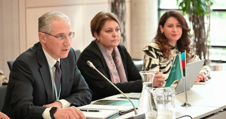 Мухтар Бабаев встретился с Целевой группой ООН COP297 июня 2024 г.