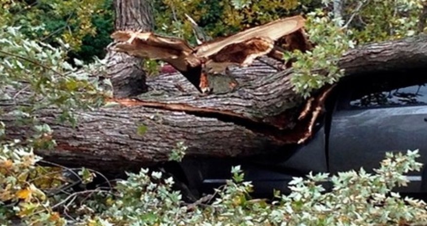 Qaxda ağaclar aşıb, magistral yol bağlanıb