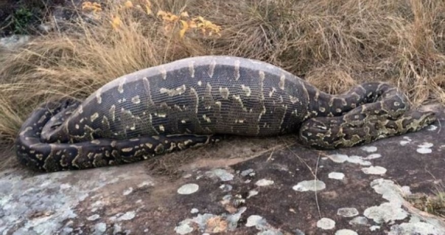 İndoneziyada ilan 45 yaşlı qadını udub