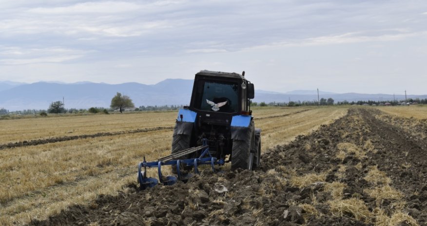 Fermerlər istehsal etdiyi məhsuların bazara çıxarılmasında çətinliklər çəkirlər- İlqar Həbiyev