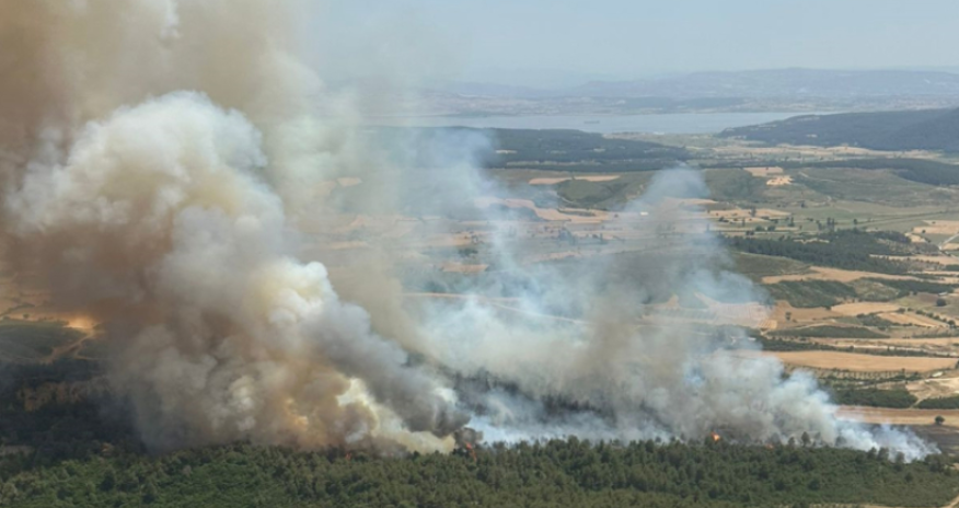Türkiyənin 5 vilayətində meşə yanğınları başlayıb