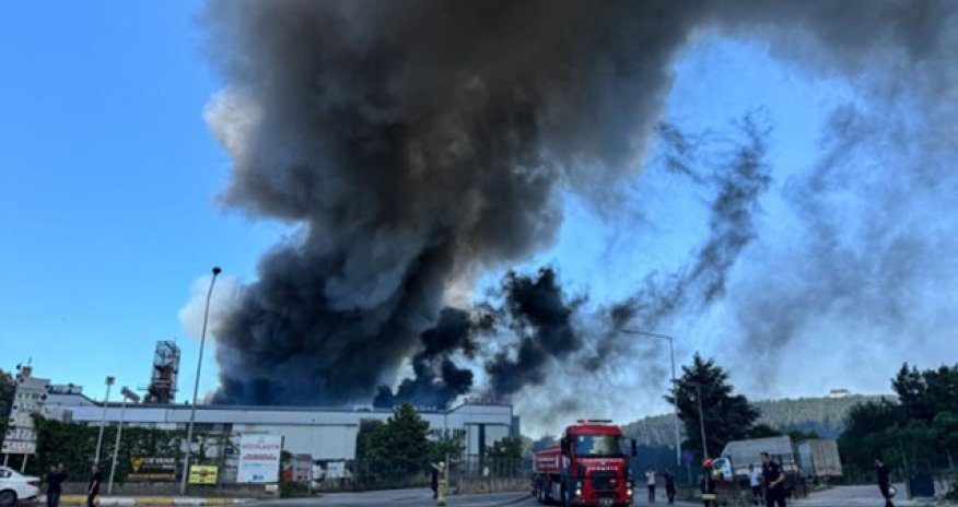 Türkiyədə zavod yanır - Video