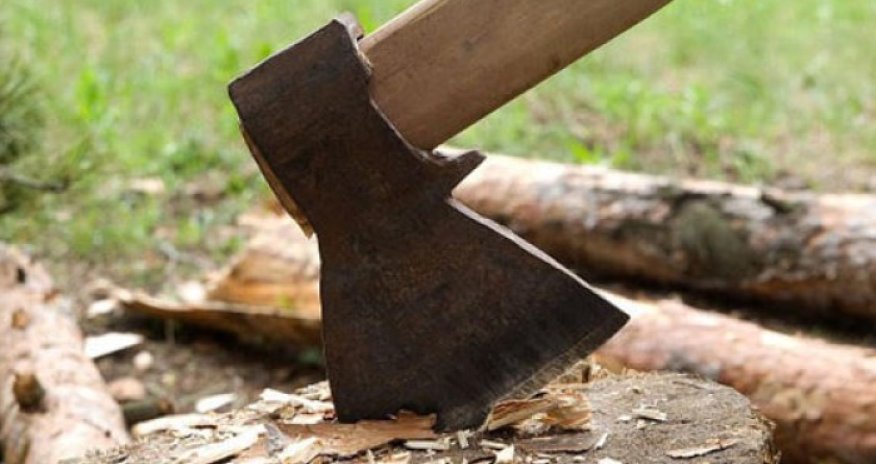 4 ildə ekoloji hüquqpozmalar ilə bağlı dövlət büdcəsinə dörd milyondan çox vəsait ödənilib