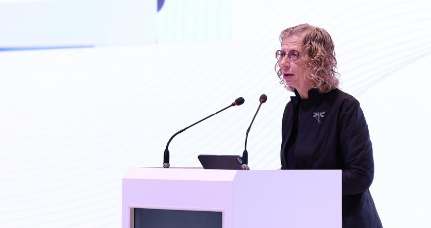 UN environment chief praises Azerbaijan's preparations for COP29