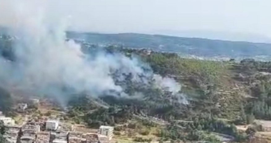 İzmirdə meşə yanğını başlayıb