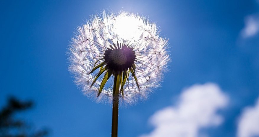 Azerbaijan weather forecast for June 29