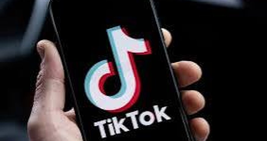 Bu ölkədə də TikTok qadağan edilib