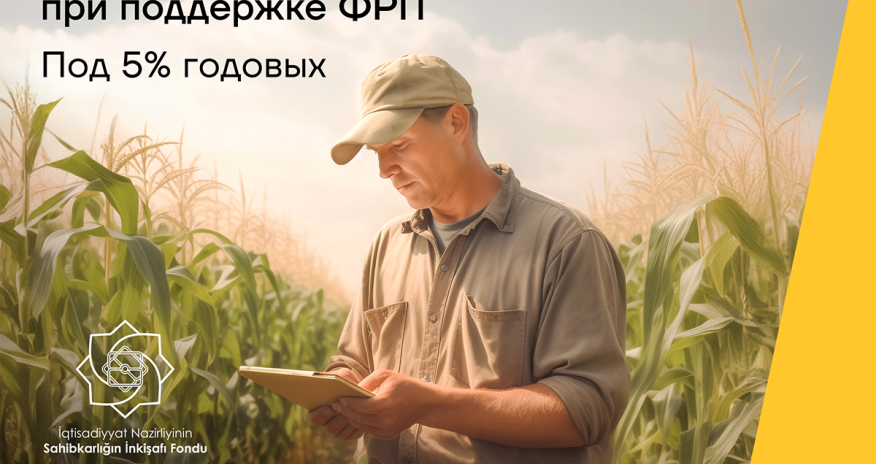 Развивайте свой бизнес с помощью кредита под 5% годовых от Yelo Bank