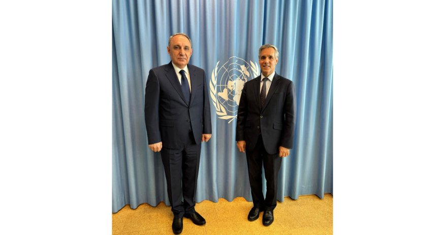 Baş prokuror Vyanada COP29-la bağlı görüş keçirib