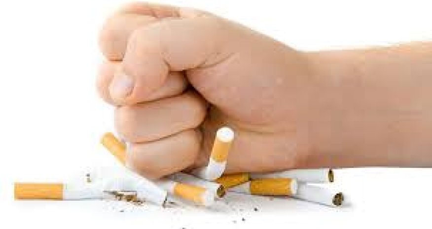 Tütün məhsullarının istehsal və idxalçıları üçün  YENİ ŞƏRTLƏR