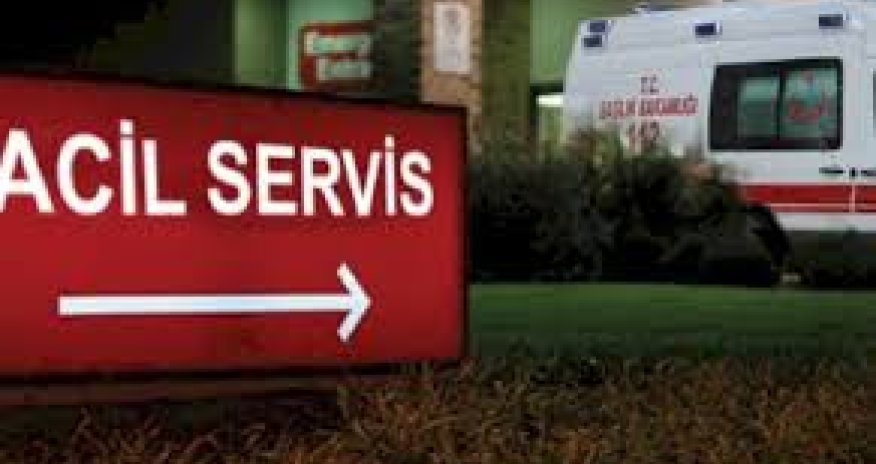 Bodrumda hoteldə kütləvi zəhərlənmə olub,16 nəfər xəstəxanaya yerləşdirilib