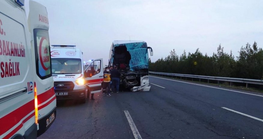 На Алтае при опрокидывании автобуса погибли трое граждан Монголии
