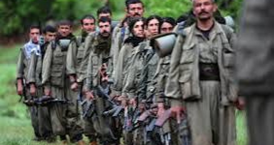 PKK-nın 3 üzvü zərərsizləşdirilib